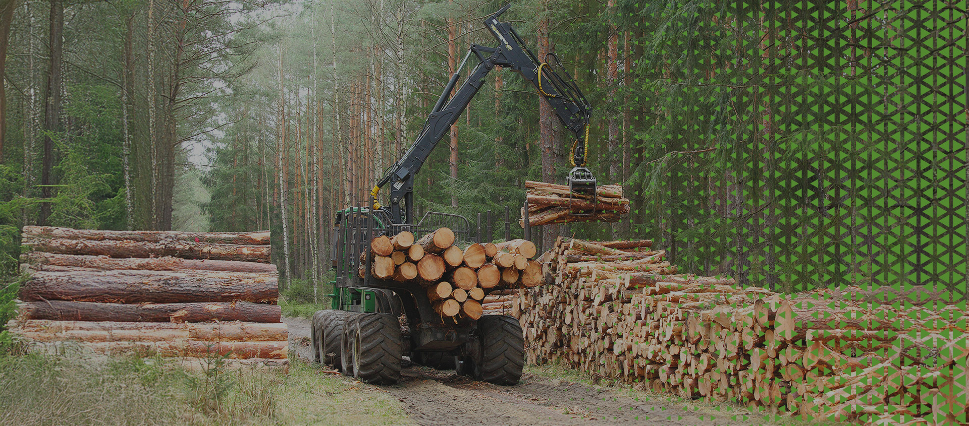 Application - Forestry Hero